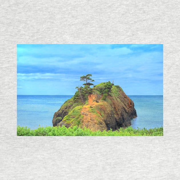 Battle Rock Oregon Coast by Burtney